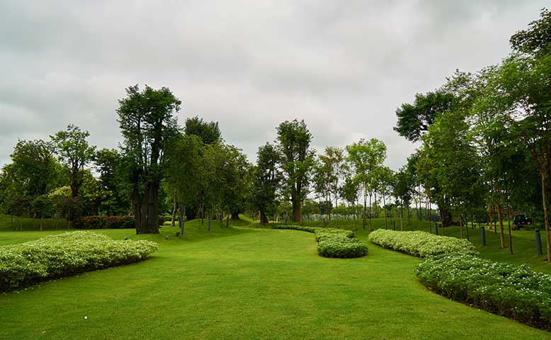 How to Cut Your Water Bill With Drought-Smart Landscaping