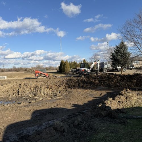 Image gallery marquee