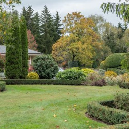 Image gallery marquee