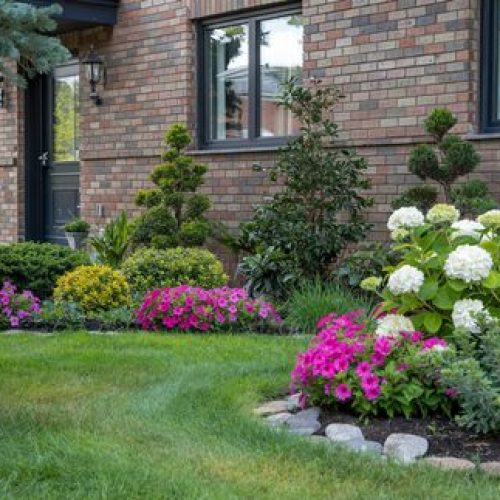 Image gallery marquee