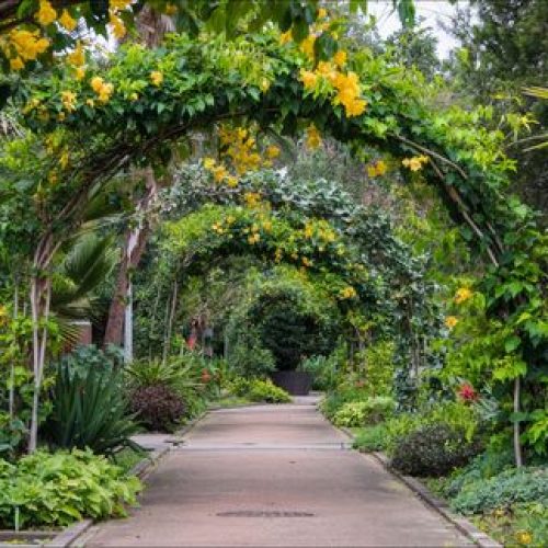 Image gallery marquee